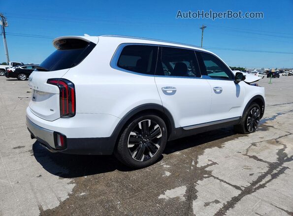 5XYP5DGC6RG497652 2024 KIA TELLURIDE White Trasero derecho
