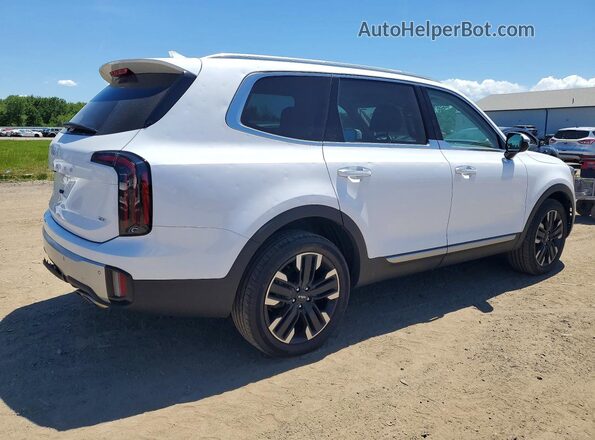 5XYP5DGC6RG551211 2024 KIA TELLURIDE White Rear right