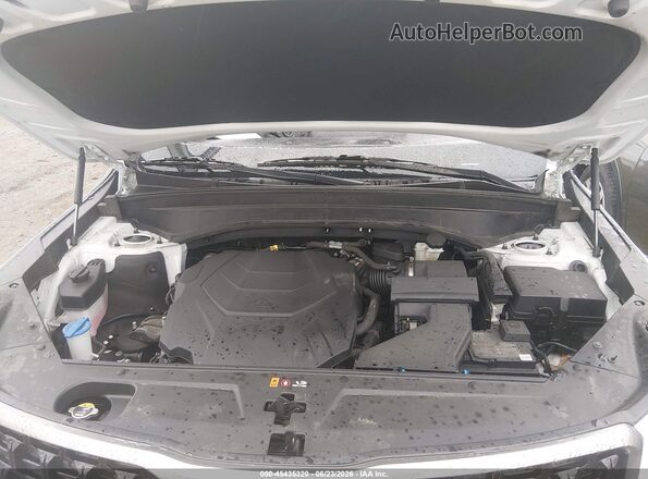 5XYP5DGC8PG382919 2023 KIA TELLURIDE Белый Вид сзади