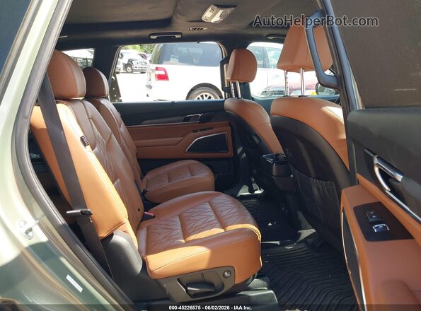 5XYP5DGC9PG408542 2023 KIA TELLURIDE Green Vista de la etiqueta del VIN