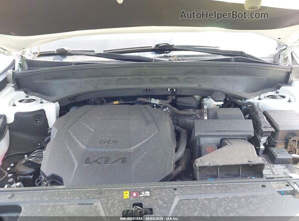 5XYP5DGC9RG487391 2024 KIA TELLURIDE White Вид ззаду