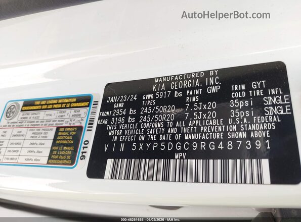 5XYP5DGC9RG487391 2024 KIA TELLURIDE White Вид підкапотного простору