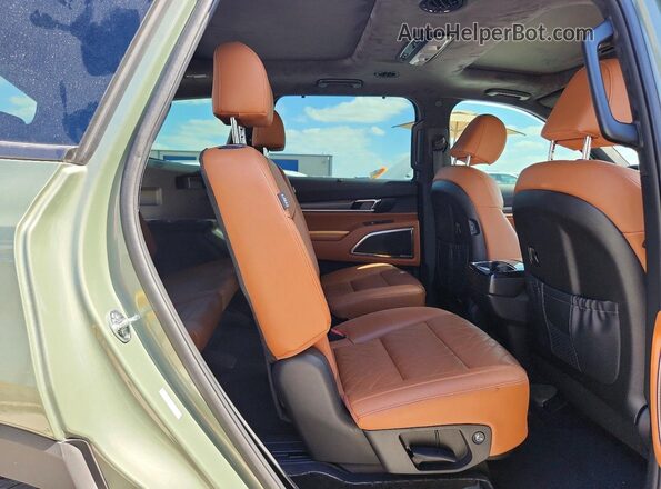 5XYP5DGC9RG487553 2024 KIA TELLURIDE Green Rear interior view