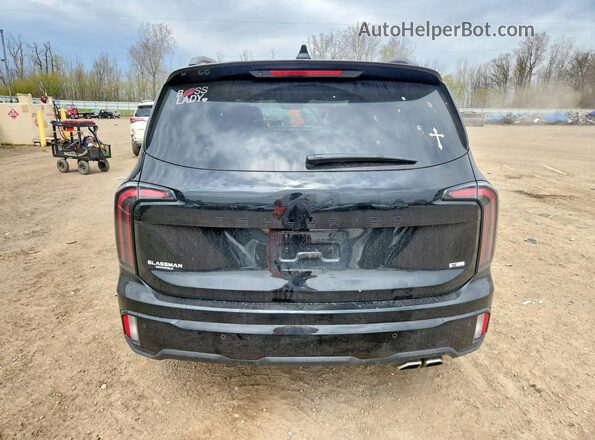 5XYP5DGC9SG627641 2025 KIA TELLURIDE Black Rear view