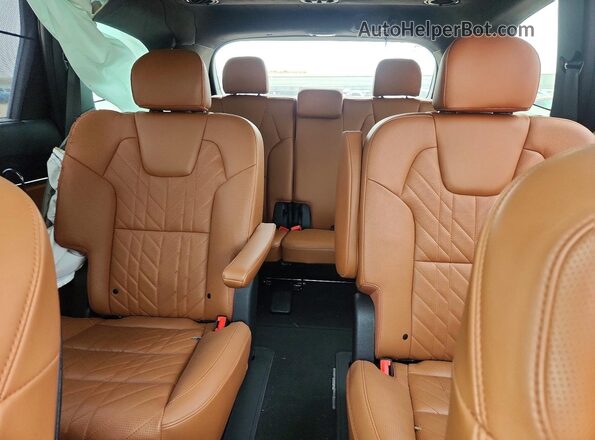 5XYP5DGC9SG627641 2025 KIA TELLURIDE Black Rear seats view