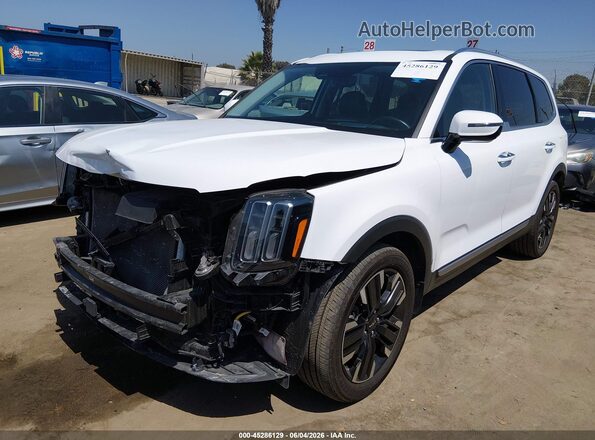 5XYP5DGCXRG476786 2024 KIA TELLURIDE White Front left
