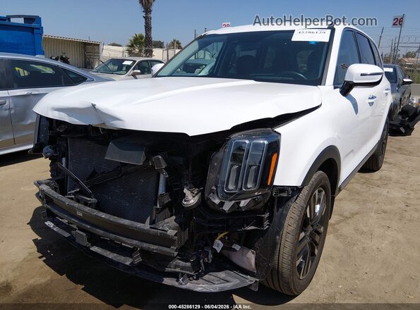 5XYP5DGCXRG476786 2024 KIA TELLURIDE White Front view