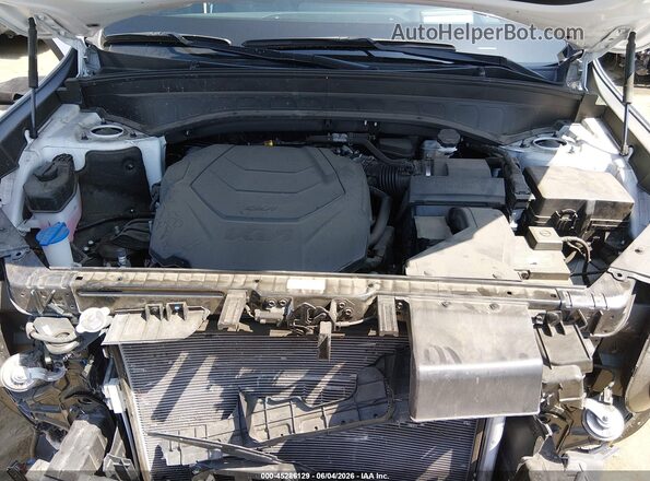 5XYP5DGCXRG476786 2024 KIA TELLURIDE White Rear view