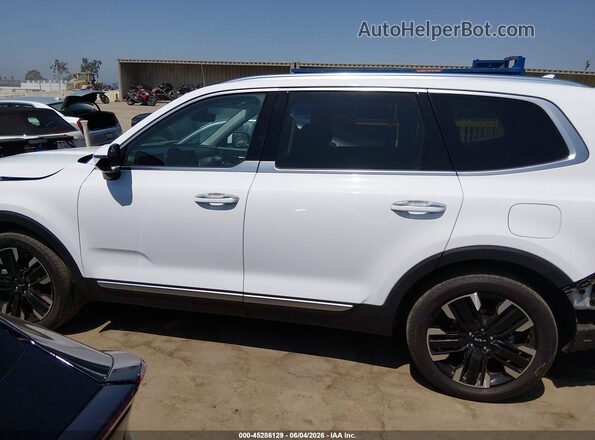 5XYP5DGCXRG476786 2024 KIA TELLURIDE White 