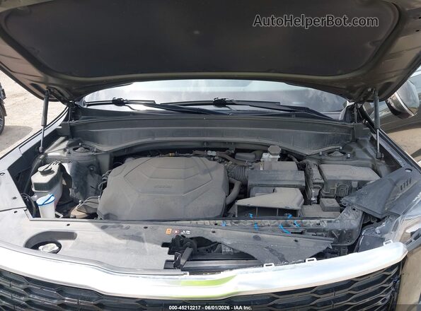 5XYP5DHC1NG287937 2022 KIA TELLURIDE Green Widok z tyłu