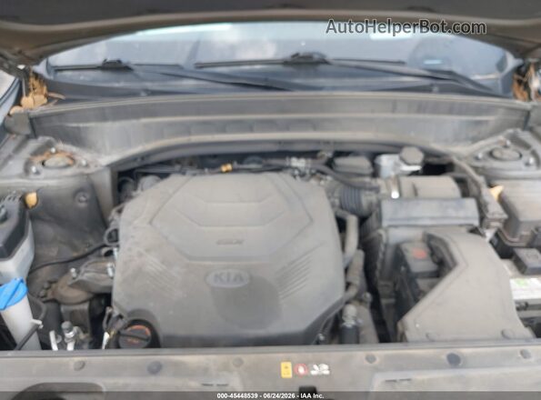 5XYP5DHC2LG046711 2020 KIA TELLURIDE Green Vista trasera