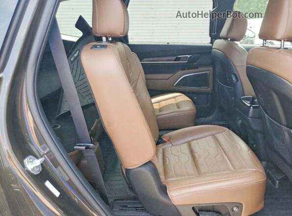 5XYP5DHC2LG089221 2020 KIA TELLURIDE Brown უკანა სალონის ხედი