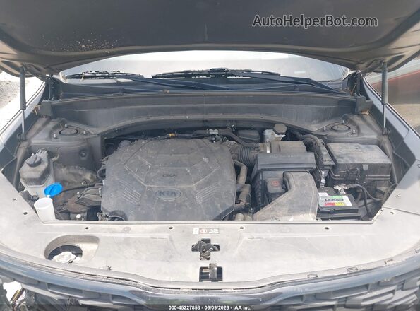 5XYP5DHC6MG112789 2021 KIA TELLURIDE Green Rear view