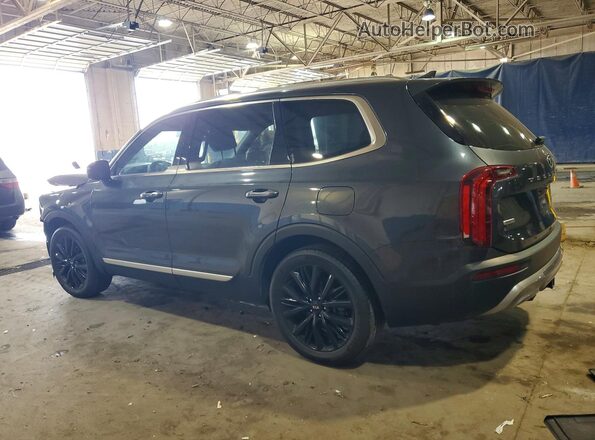 5XYP5DHCXLG076555 2020 KIA TELLURIDE Gray Trasero izquierdo