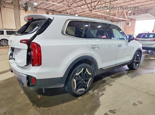 5XYP64GC4SG583318 2025 KIA TELLURIDE White უკანა მარჯვენა