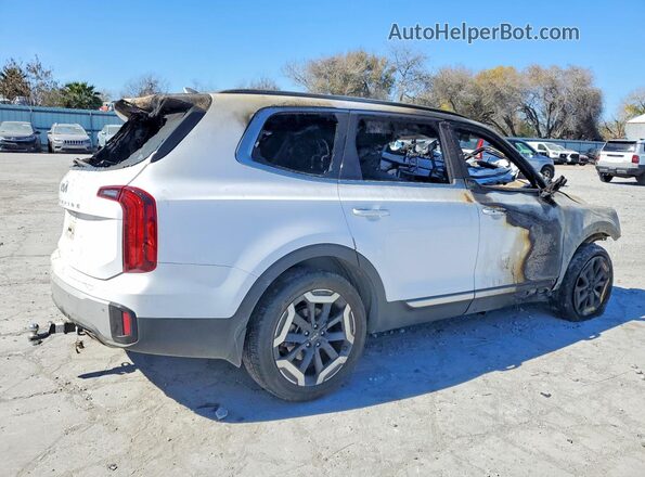 5XYP64GC9RG530978 2024 KIA TELLURIDE White Rear right