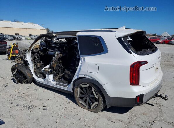 5XYP64GC9RG530978 2024 KIA TELLURIDE White Rear left
