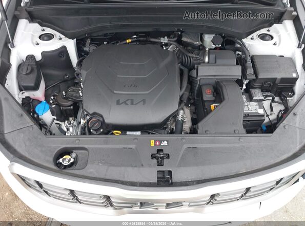 5XYP64GC9SG668817 2025 KIA TELLURIDE Белый Вид сзади