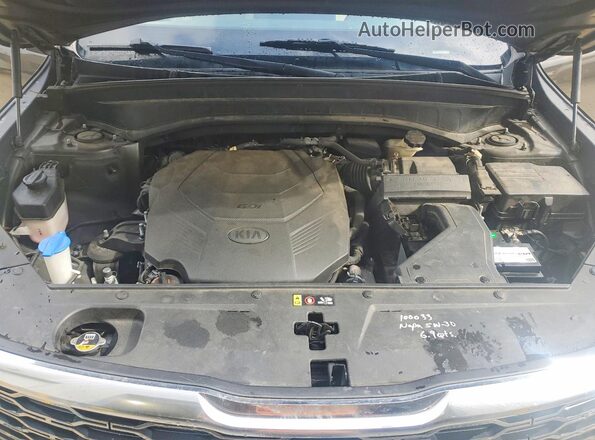 5XYP64HC0LG065254 2020 KIA TELLURIDE Green 