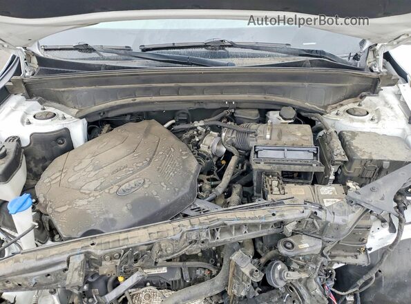 5XYP64HC9LG066841 2020 KIA TELLURIDE White Vista del compartimento del motor
