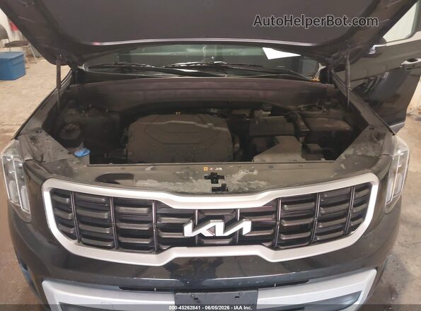 5XYP6DGC0RG517505 2024 KIA TELLURIDE Black Widok z tyłu