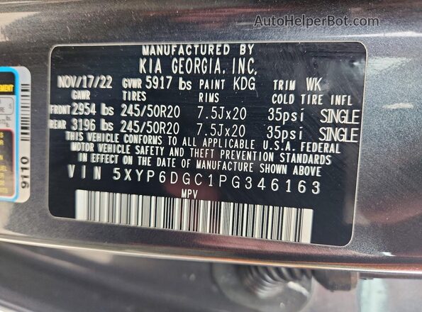 5XYP6DGC1PG346163 2023 KIA TELLURIDE Gray Widok naklejki z numerem VIN