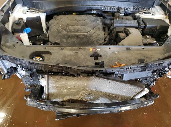 5XYP6DGC5RG477017 2024 KIA TELLURIDE Белый Вид задней части салона