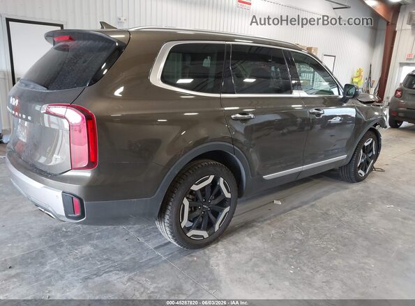 5XYP6DGC6RG561458 2024 KIA TELLURIDE Brown Հետևի աջ