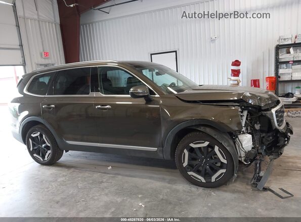 5XYP6DGC6RG561458 2024 KIA TELLURIDE Brown Սալոնի հետևի տեսք