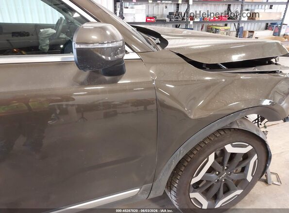 5XYP6DGC6RG561458 2024 KIA TELLURIDE Brown 