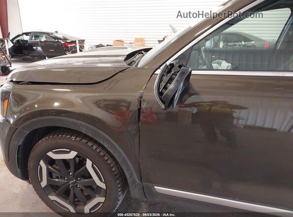 5XYP6DGC6RG561458 2024 KIA TELLURIDE Brown 
