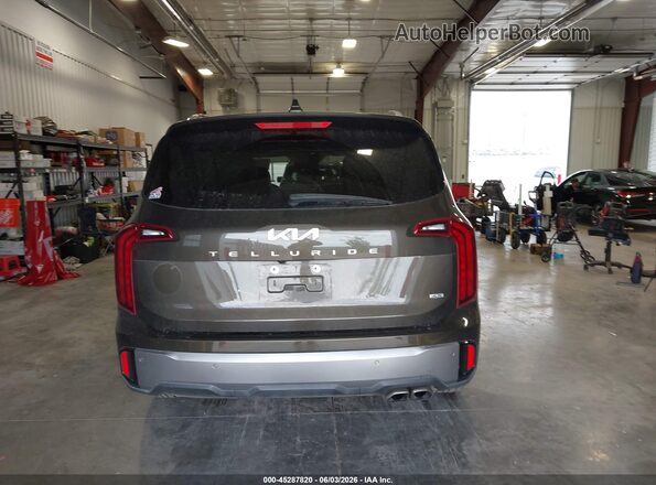 5XYP6DGC6RG561458 2024 KIA TELLURIDE Brown 