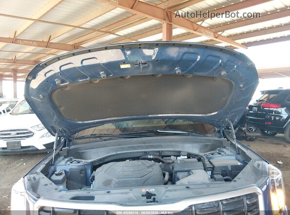5XYP6DGC6SG597348 2025 KIA TELLURIDE Blue Հետևի տեսք