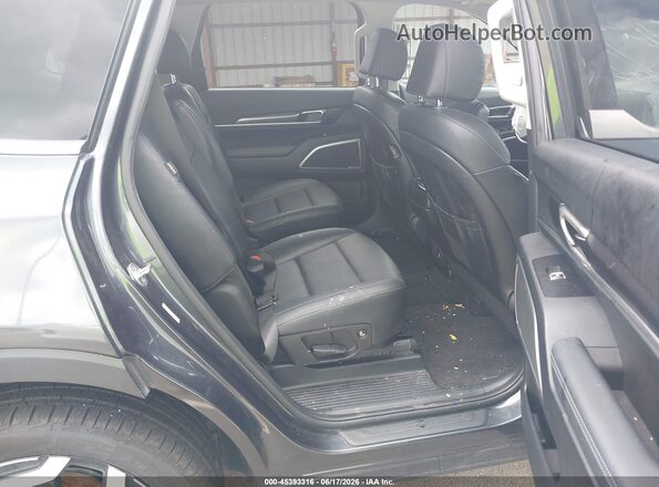 5XYP6DGC9RG478915 2024 KIA TELLURIDE Серый Вид наклейки с VIN-кодом