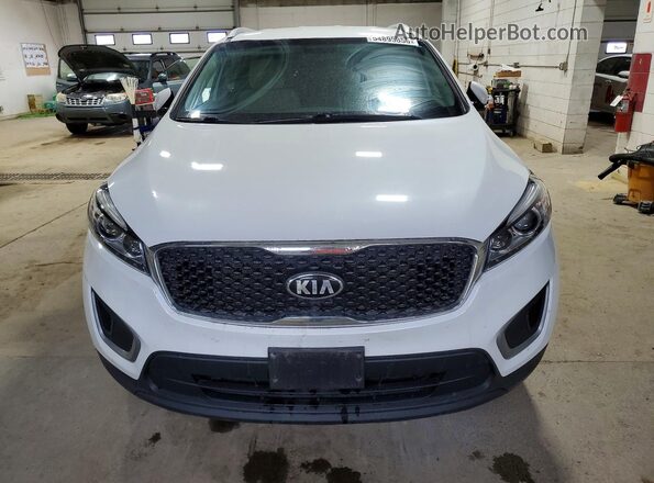 5XYPGDA35GG047183 2016 KIA SORENTO White 