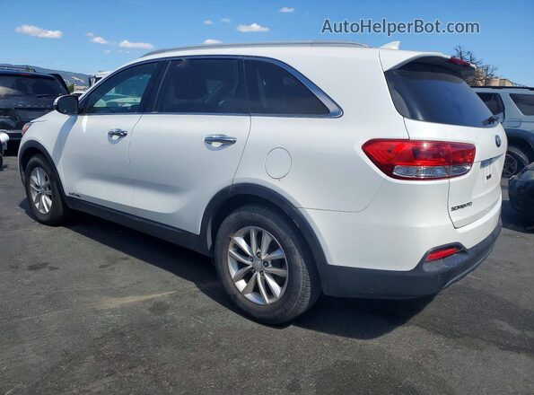 5XYPGDA50HG227416 2017 KIA SORENTO White Հետևի ձախ