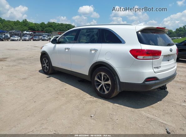 5XYPH4A15HG193712 2017 KIA SORENTO White Tył lewy