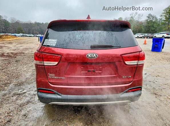 5XYPH4A59GG084462 2016 KIA SORENTO Red Rear view