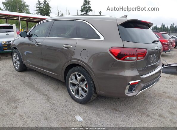 5XYPKDA57KG458089 2019 KIA SORENTO Brown უკანა მარცხენა