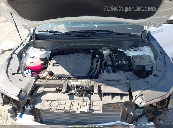 5XYRG4JCXSG398575 2025 KIA SORENTO White Widok z tyłu