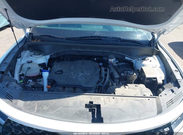 5XYRG4LC3PG251003 2023 KIA SORENTO White Vista trasera