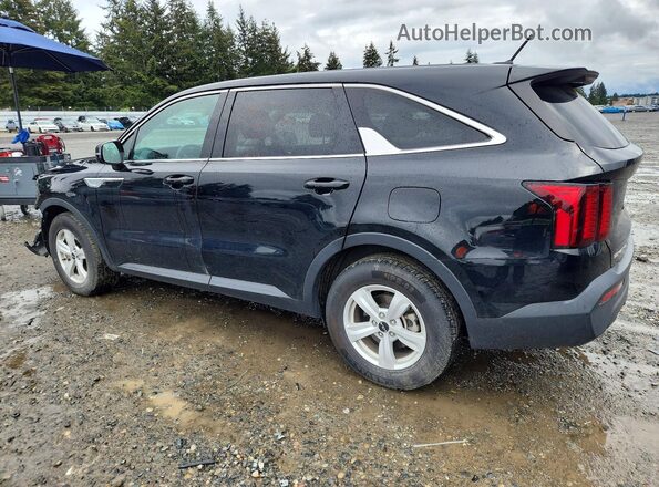 5XYRG4LC4PG201372 2023 KIA SORENTO Черный Задняя левая четверть