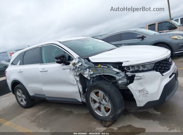 5XYRG4LC8PG245598 2023 KIA SORENTO White Widok wnętrza z tyłu