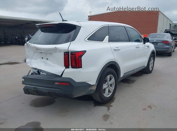 5XYRG4LC8PG248663 2023 KIA SORENTO White Tył prawy