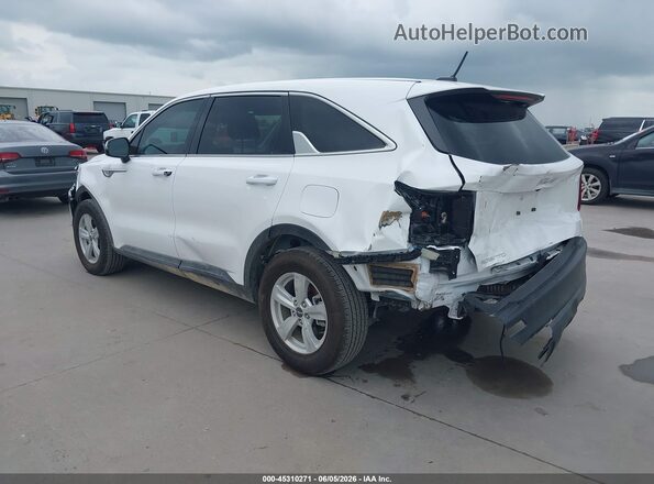 5XYRG4LC8PG248663 2023 KIA SORENTO White Tył lewy