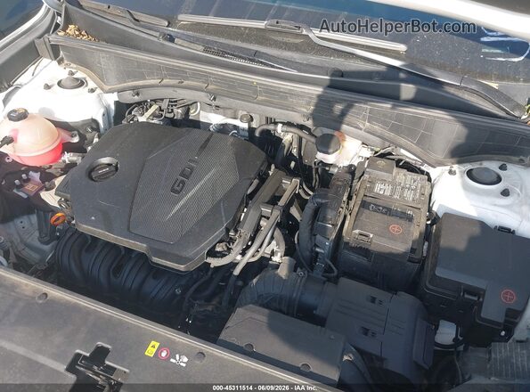 5XYRG4LCXPG200842 2023 KIA SORENTO White Vista trasera