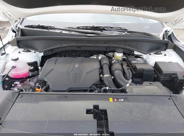5XYRHDJF2TG453836 2026 KIA SORENTO White Widok z tyłu