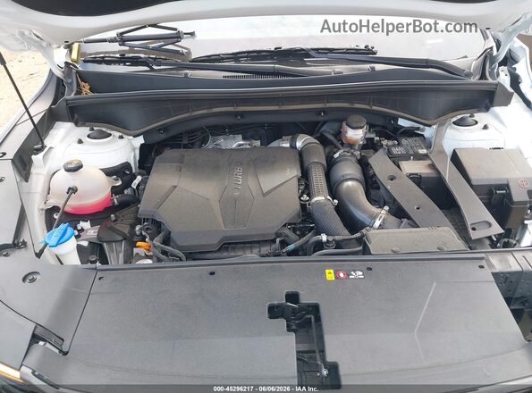 5XYRHDJF5RG302336 2024 KIA SORENTO White 