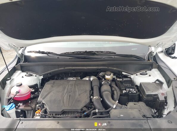 5XYRK4JF2SG337004 2025 KIA SORENTO White Widok z tyłu