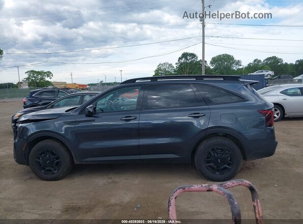 5XYRKDJF9RG257564 2024 KIA SORENTO Серый Панорамный вид салона 360°